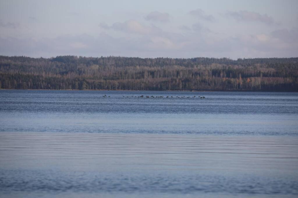Sjoenaera Stuga Med Bat Och Bastu Ramkvilla Kültér fotó